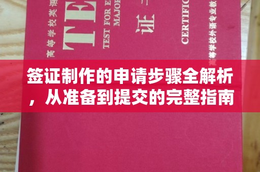 醴陵签证制作的申请步骤全解析，从准备到提交的完整指南