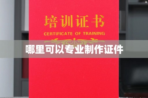 醴陵哪里可以专业制作证件