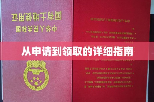 醴陵从申请到领取的详细指南