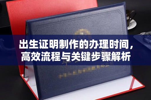 醴陵出生证明制作的办理时间，高效流程与关键步骤解析