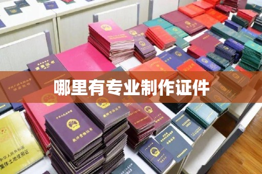 醴陵哪里有专业制作证件