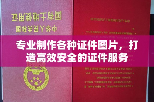 醴陵专业制作各种证件图片，打造高效安全的证件服务